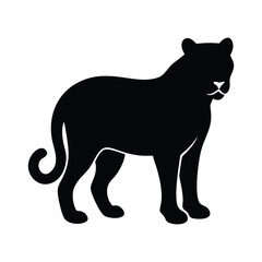 silhouette of a tiger