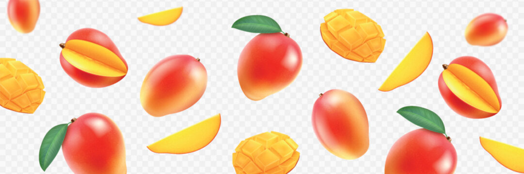 Falling fresh mango fruits 3D realistic, whole and pieces on transparent background with green leaves. Banner mockup