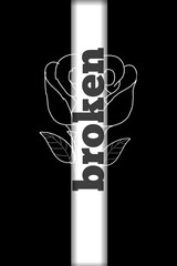 The rose flower is divided into two on black background