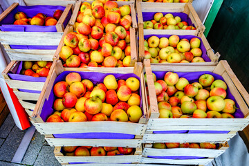 Brightly colored apples displayed in wooden crates at a local market during a sunny afternoon in early autumn