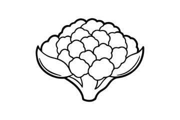 Line art drawing of a cauliflower floret.eps