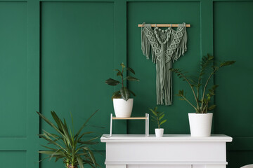 Fireplace with macrame and houseplants near green wall
