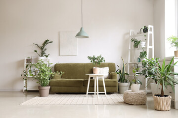 Interior of stylish living room with green sofa, coffee table and houseplants
