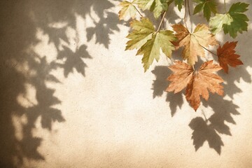 Autumn maple leaves casting shadows on vintage paper texture background