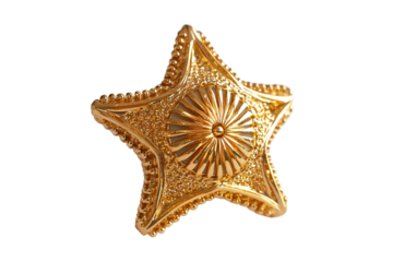 Gold star badge, golden metallic texture, three-dimensional effect a transparent background PNG
