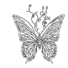 Intricate Butterfly and Vine Line Art Design