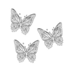 Butterfly Line Art Trio on White Background