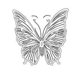 Butterfly outline, illustration, minimalist insect