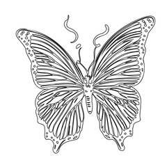 Stylized Butterfly Line Art on White Background