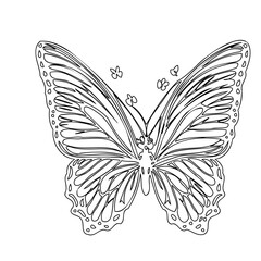 Line Art Butterfly with Floral Accent Ornaments