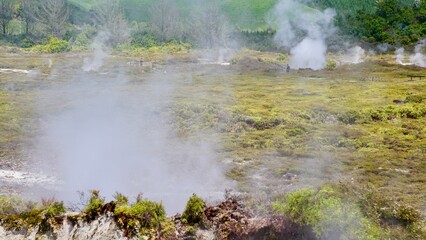 New Zealand Rotorua Geothermal park steam vents