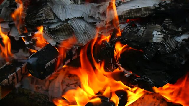 burning wood and paper. firewood is burning. tongues of flame. orange flame. bonfire. wood-fired cooking. firewood is burning for cooking barbecue