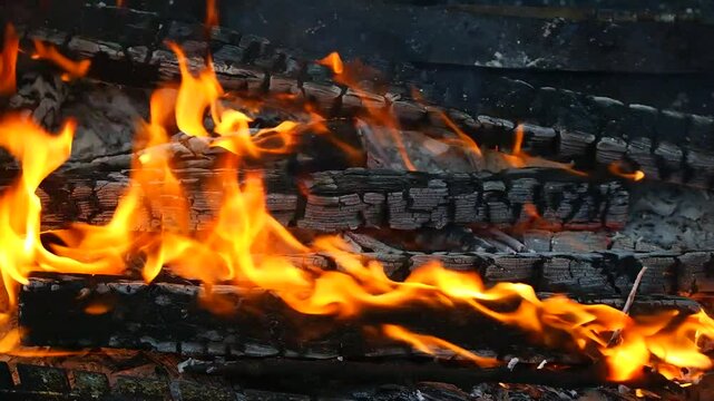 burning wood and paper. firewood is burning. tongues of flame. orange flame. bonfire. wood-fired cooking. firewood is burning for cooking barbecue