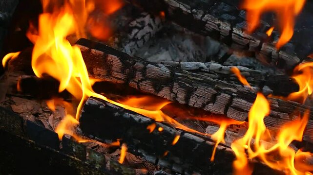 burning wood and paper. firewood is burning. tongues of flame. orange flame. bonfire. wood-fired cooking. firewood is burning for cooking barbecue