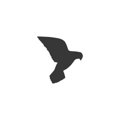Pigeon silhouette on white background. Vector illustration.