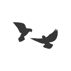 Pigeon silhouette on white background. Vector illustration.