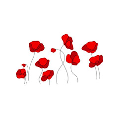 Red Poppies Illustration for Remembrance