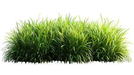 Green grass piled together, lush and realistic, isolated on white background