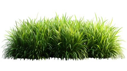 Green grass piled together, lush and realistic, isolated on white background