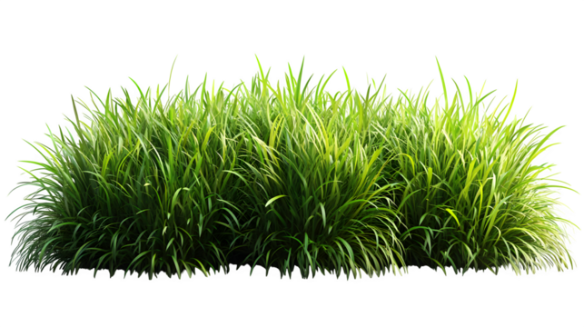 Green grass piled together, lush and realistic, isolated on white background
