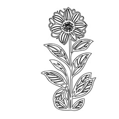 Monochrome floral illustration with leaf details