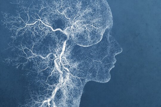 Perfil humano con un intrincado patr&oacute;n de vasos sangu&iacute;neos superpuesto, sobre un fondo azul oscuro.