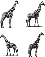 Spots Giraffe Vector Illustration – Fun and Spotted Safari Animal Character