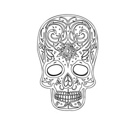 Stylized Ornamental Skull Illustration Outline