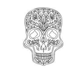 Floral Decorated Skull Graphic Illustration Art