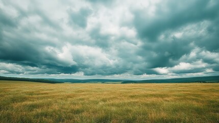 Obraz premium Expansive golden field beneath a dramatic, cloud-filled sky at dusk