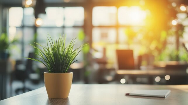 Modern office workstations, open plan layout, natural light, background blurred