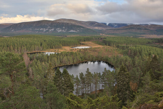 A scenic view of Cairngorms National Park at a vantage point along the Uath Lochens hiking trail.