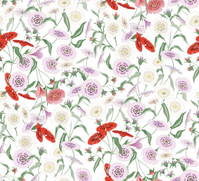  A Colorful Field of Blooming Dianthus Flowers. Vector illustration of a seamless pattern 	