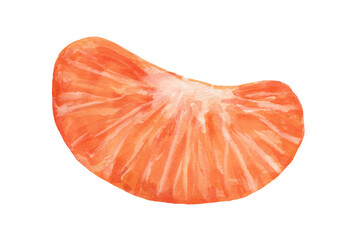 Watercolor mandarin single slice, isolated food illustration