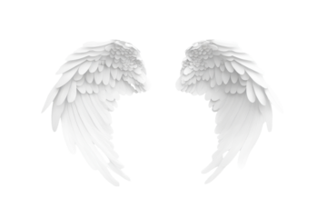 Stunning white angel wings with smooth texture and layered design isolated on clean background