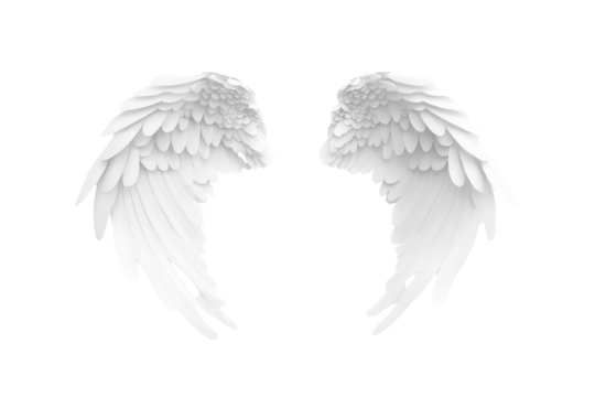 Stunning white angel wings with smooth texture and layered design isolated on clean background