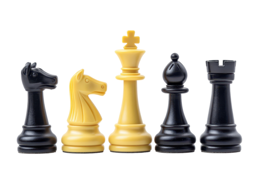 Classic chess figure piece isolated on white background ideal for strategy game and learning materials