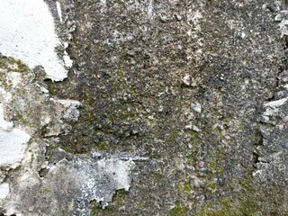 Rough Wall Surface with Cracked Paint and Moss Texture. Close-up of rough concrete wall with...