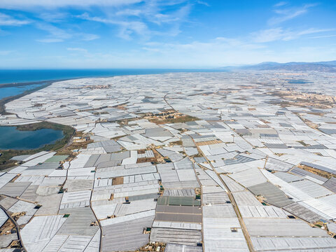 Aerial view of Mar de Plastico, Sea of Plastic, in Almería. A vast expanse of land covered with plastic greenhouses for the production of fruits and vegetables, larger than Almería itself - Powered by Adobe