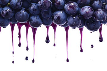 Ripe purple grape cluster with droplets perfect for nutrition campaigns farmers market or seasonal product designs