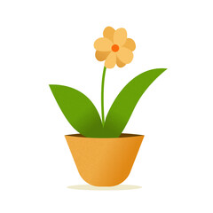 Indoor flower in brown pot has eight petals of beige color with green leaves with trendy textures of small grain on white background