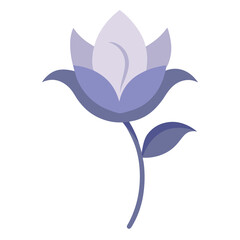 A single twilight bloom night queen isolated 