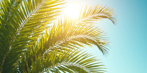 Obraz premium Green Coconut Palm Leaves on Tropical Background – Perfect for Summer Advertising, Natural Design Concepts, Vacation Themes, and Eco-Friendly Visual Branding
