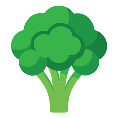 Broccoli clean-on-white-background 