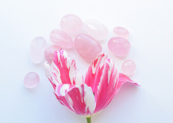 Beautiful rose quartz crystals and a bouquet of pink tulips. Healing crystals, talisman for women