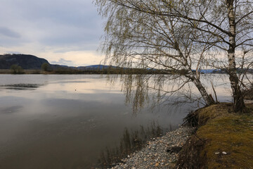 Spring flood at the river Gaula, Norway