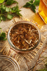 Fresh nettle root macerating in alcohol to prepare herbal tincture