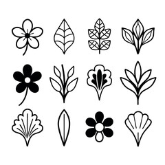 set of black and white flowers
