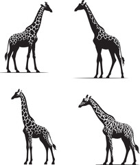 Twiga Giraffe Vector Illustration – Charming African Safari Animal Character