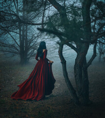 Art photo real person Gothic girl walking running in dark foggy forest trees, velvet red long...